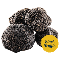 Truffle Sticker by tadafreshmarket