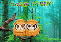 Owls Expressions GIF