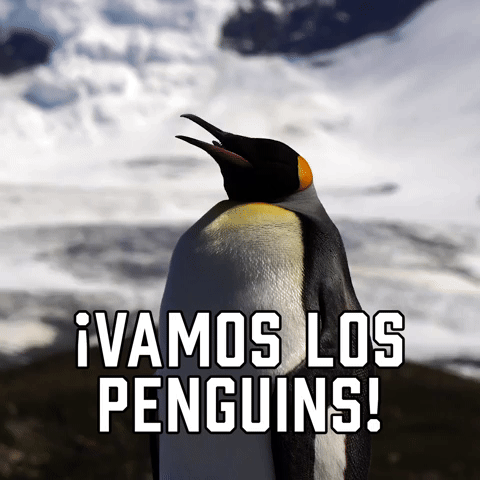 ยกVamos Los Penguins!