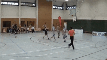 sgk-basketball basketball verein heidelberg sgk GIF