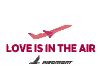 Valentines Day Love Sticker by Piedmont Airlines
