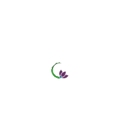 Ec Sticker by Gadjltmuey