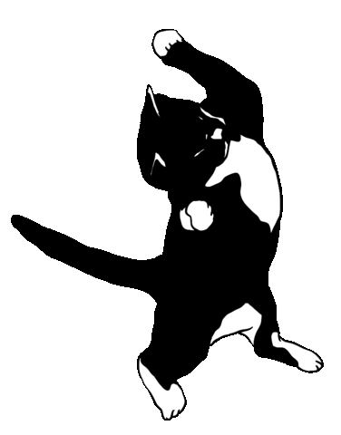 Cat Play Sticker by Wonderyash