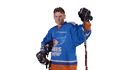 Hockey Van Sticker by UNIS Flyers