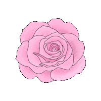thestylistwitch pink rose gabi the stylist witch Sticker