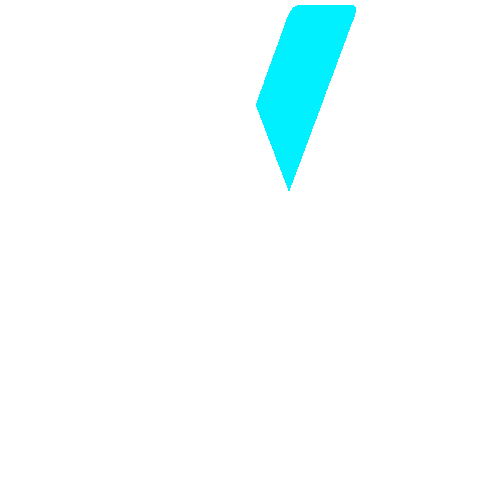 litnfly giphygifmaker fly lit icon Sticker