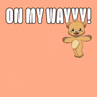 Kabu Friends GIF by Kabu