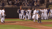 East Carolina Baseball GIF by ECU Athletics