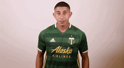 portland timbers wink GIF by Timbers