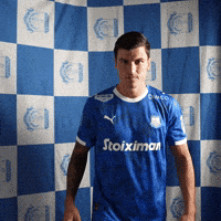 Apollon Limassol Fc Celebration GIF by Apollon FC