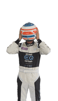 Formula E Racing Sticker by smart e-cup