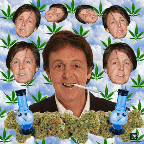 Paul Mccartney Weed GIF by gifnews