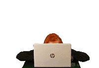 Pc Notebook Sticker by Nový start