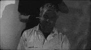 Haircut GIF by Circa Survive