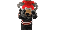 Happy Dance Sticker by Huntsville Havoc