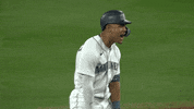Major League Baseball Sport GIF by MLB