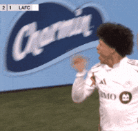 Happy David Martinez GIF by Major League Soccer