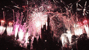 disney celebration GIF