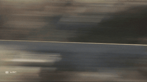 Motorsport GIF by FIA World Rally Championship