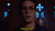 What The Hell Wtf GIF