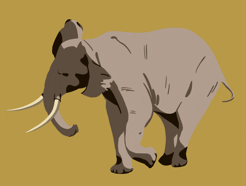 LaPageDeCam giphyupload yellow africa elephant GIF