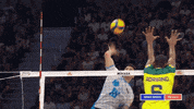 Sport Vamos GIF by Volleyball World