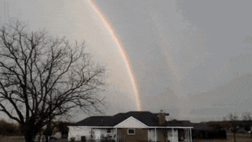 rainbow GIF