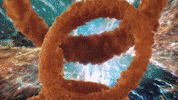 hungry food porn GIF by ADWEEK