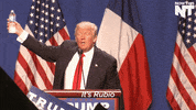 GIF by NowThis 