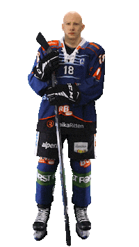 Happy Ice Hockey Sticker by Rittner Buam