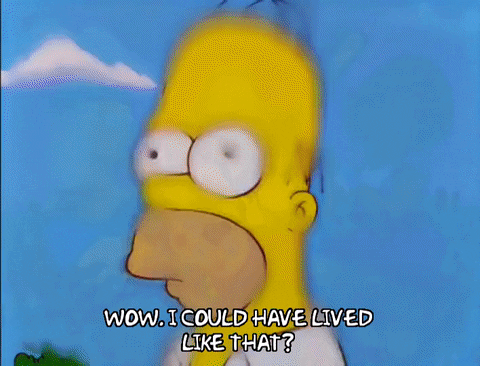 homer simpson episode 6 GIF