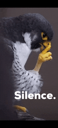 Silence GIF