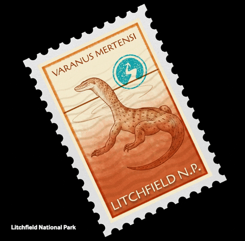 NortherHQ giphygifmaker australia stamp lizard GIF
