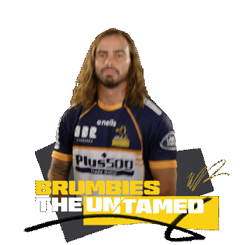 Super Rugby Andy Sticker by BrumbiesRugby