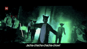 the fox band GIF