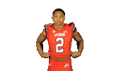 Utah Utes Sticker by Utah Football