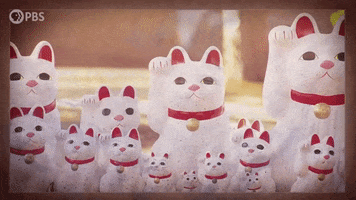 GIF by PBS Digital Studios