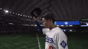 Los Angeles Dodgers Sport GIF by MLB