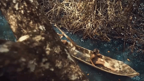 Best Friend Oceans GIF by Ultra Records