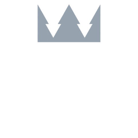 jobangebote pinzgau