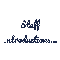 Gold Sticker by Camp Kawaga