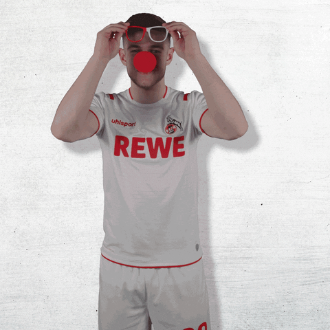 1 Fc Cologne Football GIF by 1. FC Köln