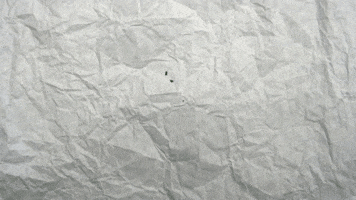 Womens Lacrosse Dragons GIF