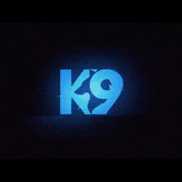 k9 esports k9 bgmi k9bgmi k9bgki GIF