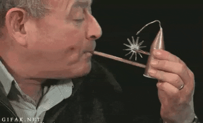 veror17 giphyupload GIF