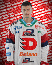 Hockey Czech GIF by HC Dynamo Pardubice