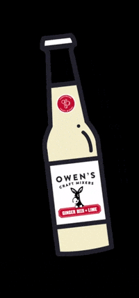 OwensMixers drink cheers drinking drunk GIF