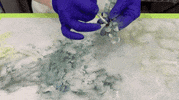 Madisonleescakes sugar flowers dusting leaves GIF