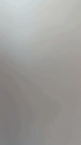 Spongebob Gary GIF by Youtooz