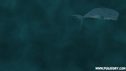 moby dick swimming GIF by Pugatory